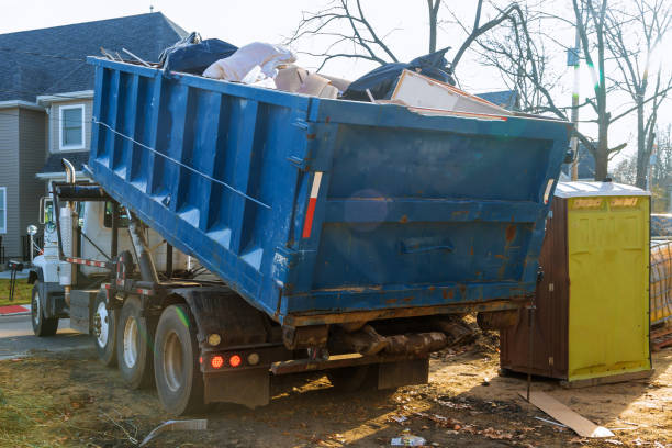 Best Shed Removal  in La Crescent, MN